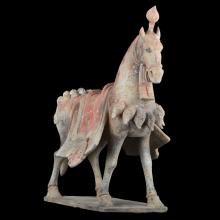 Cheval au superbe capara�onnage
